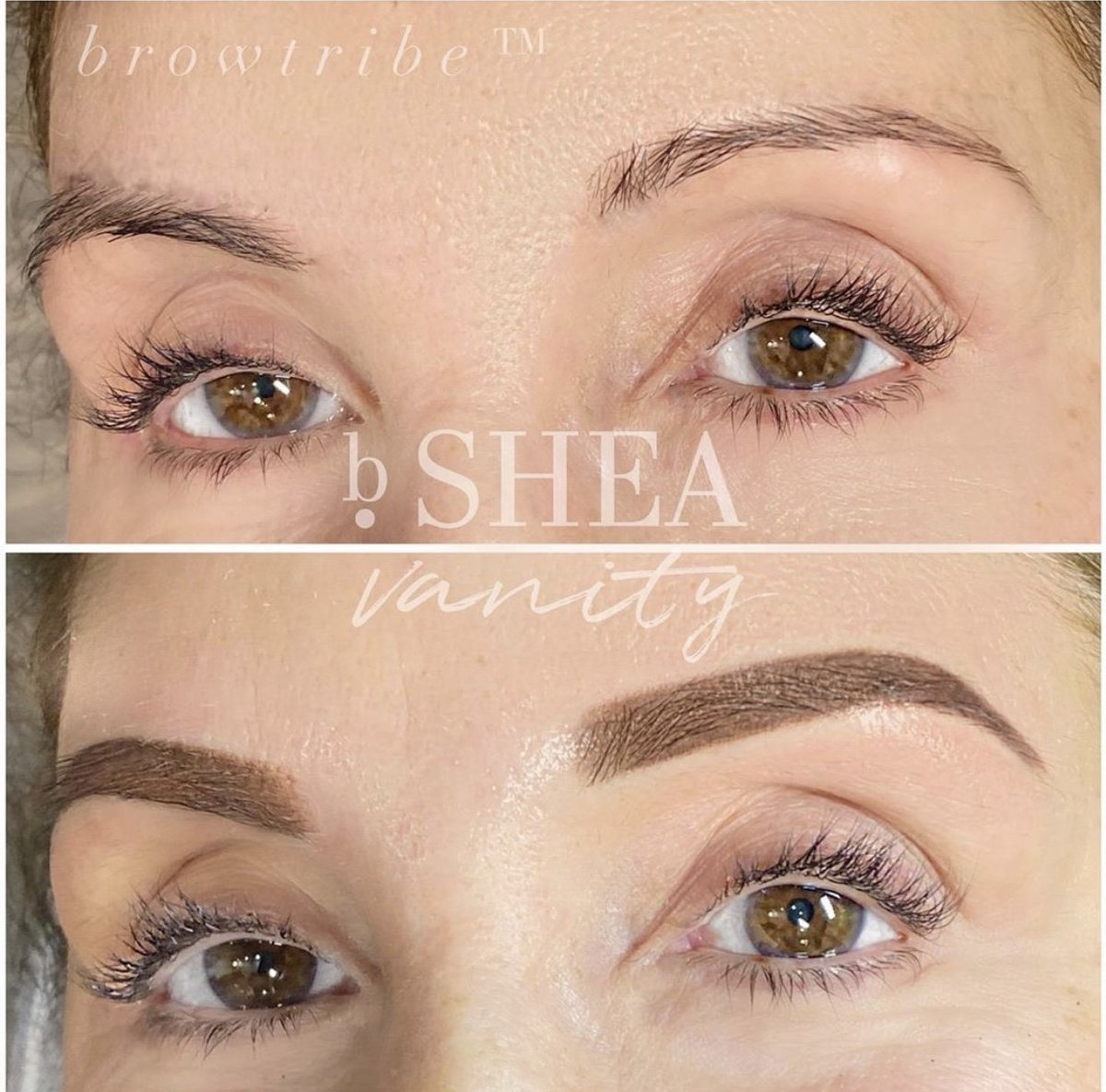brows